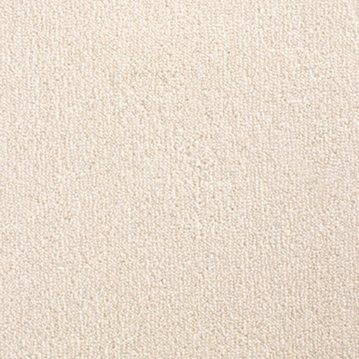 Cartouche, Canvas