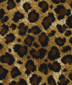 Safari, Leopard
