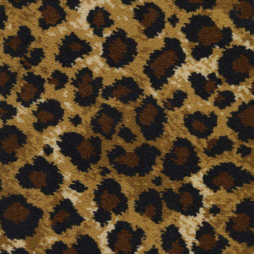 Safari, Leopard