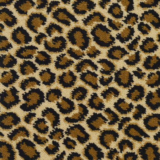 Safari, Ocelot