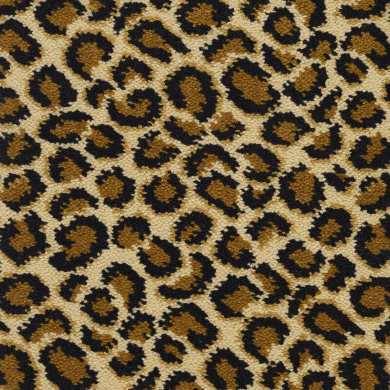 Safari, Ocelot