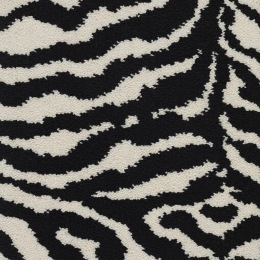 Safari, Zebra