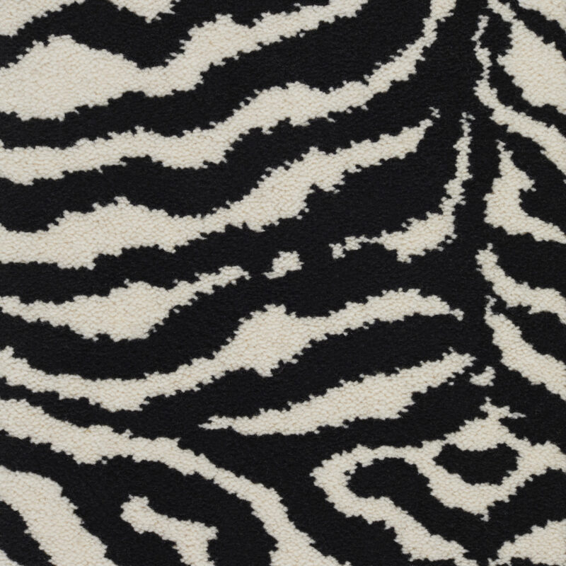 Safari, Zèbre